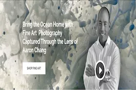 Aarong Chang Galleries